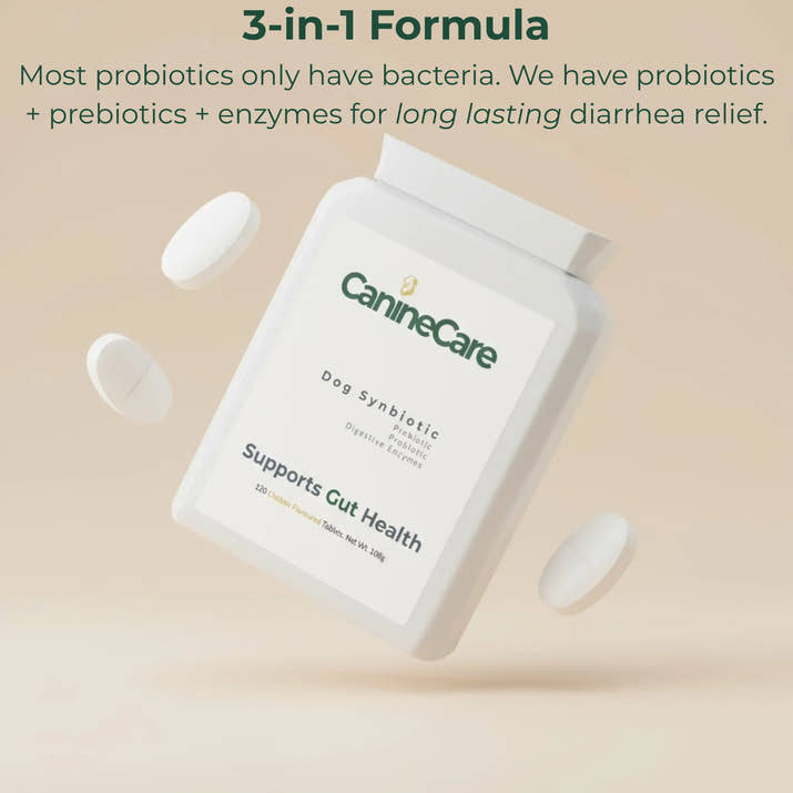 End Your Dog's Diarrhoea With CanineCare's Five Strain Probiotic