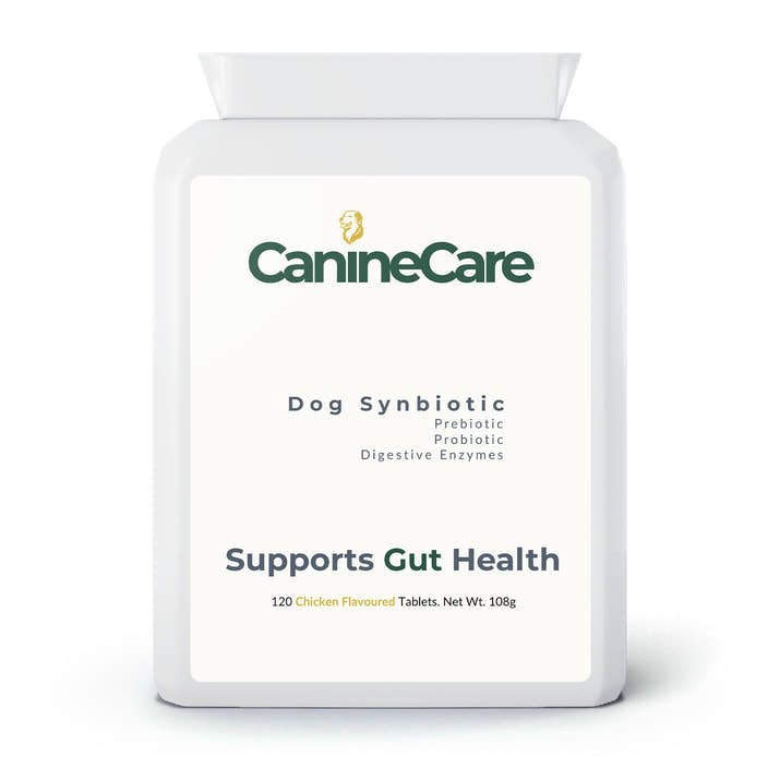 Dog Synbiotic - Finally End Antibiotic-induced Diarrhoea and Give Your Dog Comfort Again