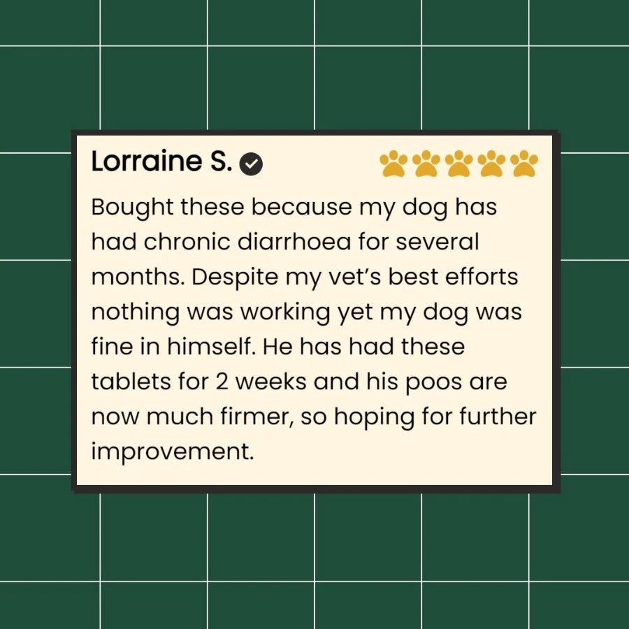 Dog Synbiotic™ - New Tailored Formula for Diarrhea