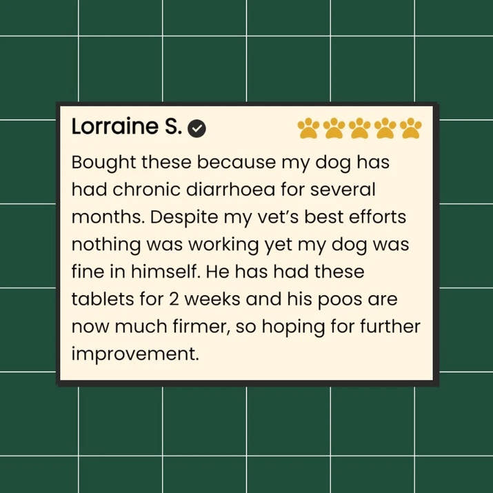 Dog Synbiotic™ - New Tailored Formula for Diarrhea