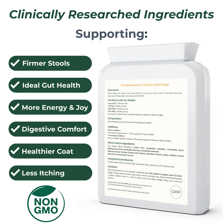 Dog Synbiotic - Finally End Antibiotic-induced Diarrhoea and Give Your Dog Comfort Again