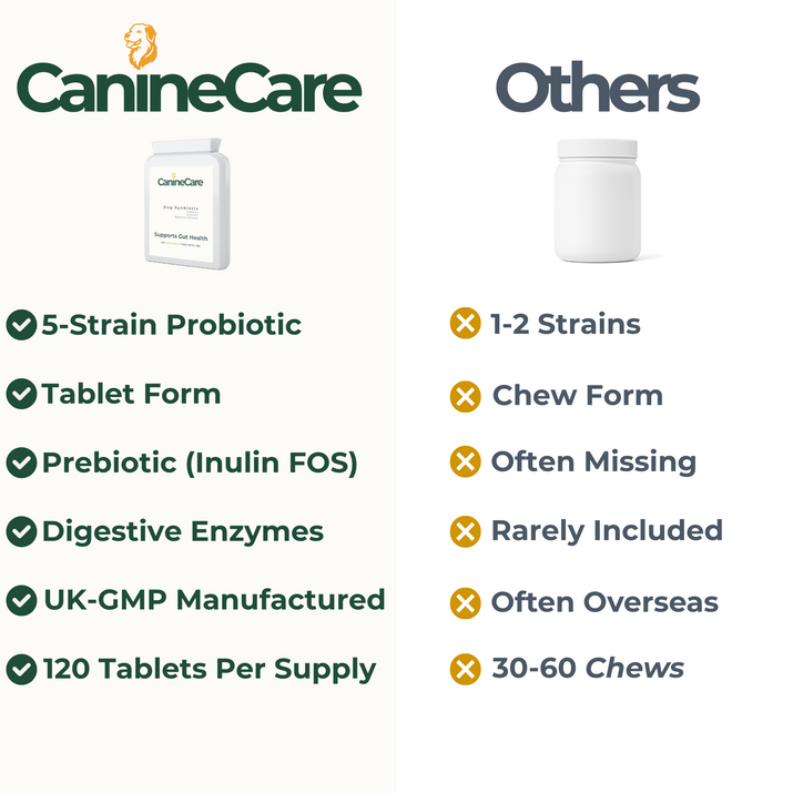 Dog Synbiotic - Finally End Antibiotic-induced Diarrhoea and Give Your Dog Comfort Again
