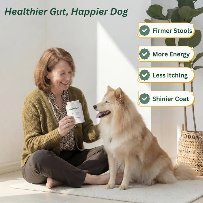 End Your Dog's Diarrhoea With CanineCare's Five Strain Probiotic