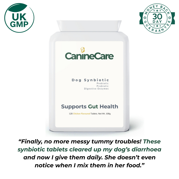 Dog Synbiotic - Finally End Antibiotic-induced Diarrhoea and Give Your Dog Comfort Again