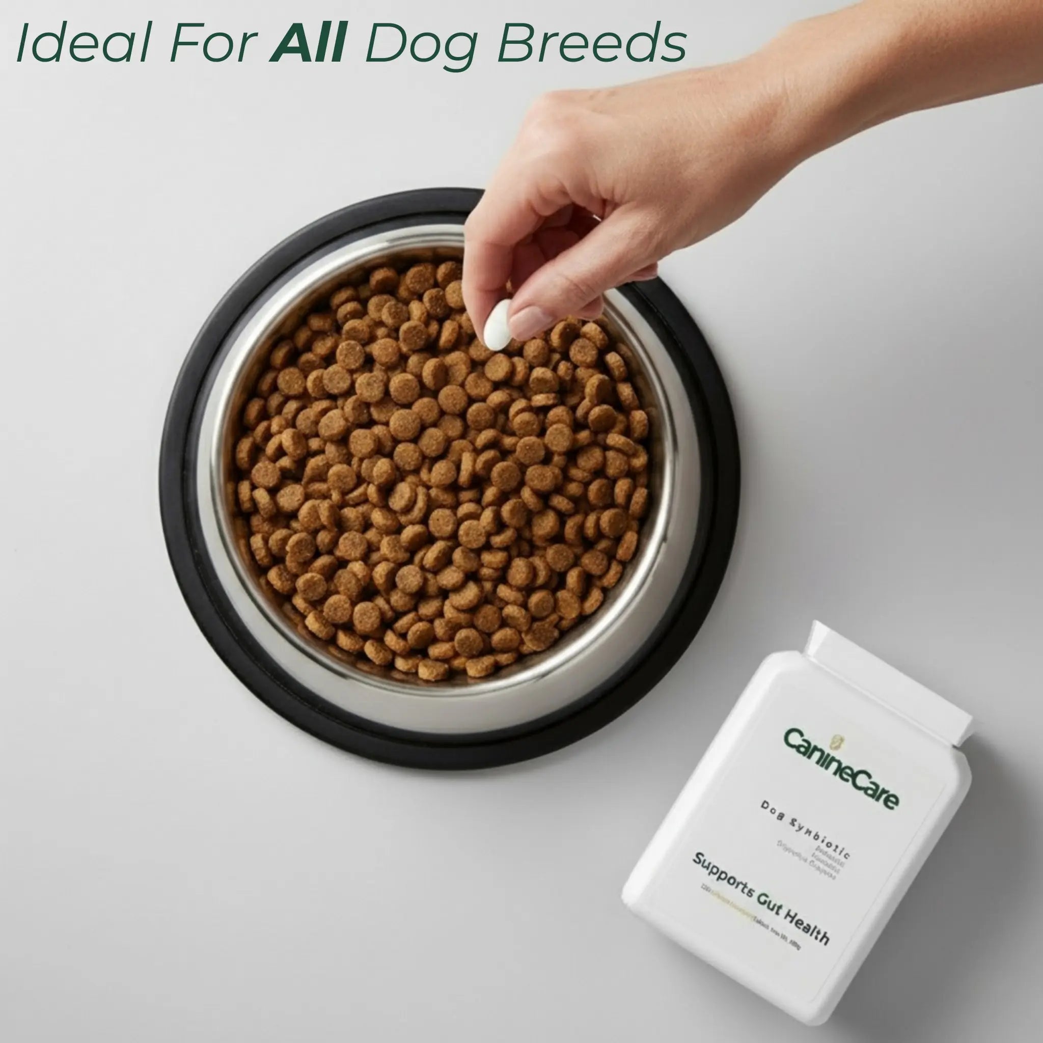 End Your Dog's Diarrhoea With CanineCare's Five Strain Probiotic