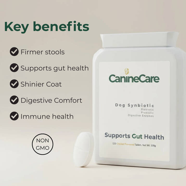 Dog Synbiotic™ - New Tailored Formula for Diarrhea