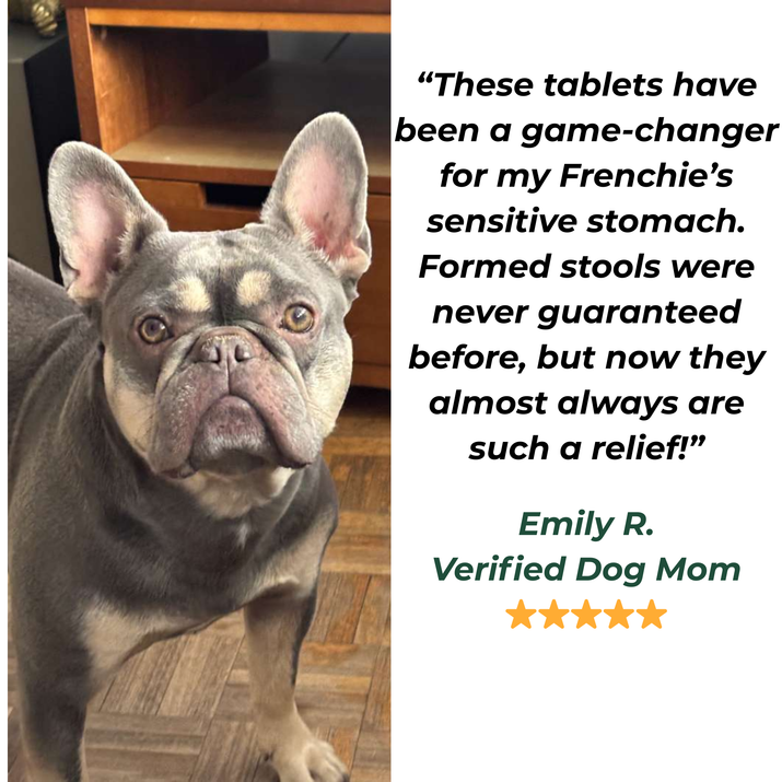 Dog Synbiotic - Finally End Antibiotic-induced Diarrhoea and Give Your Dog Comfort Again