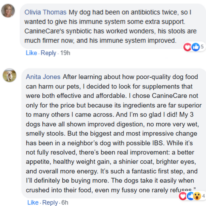 Dog Synbiotic - Finally End Antibiotic-induced Diarrhoea and Give Your Dog Comfort Again