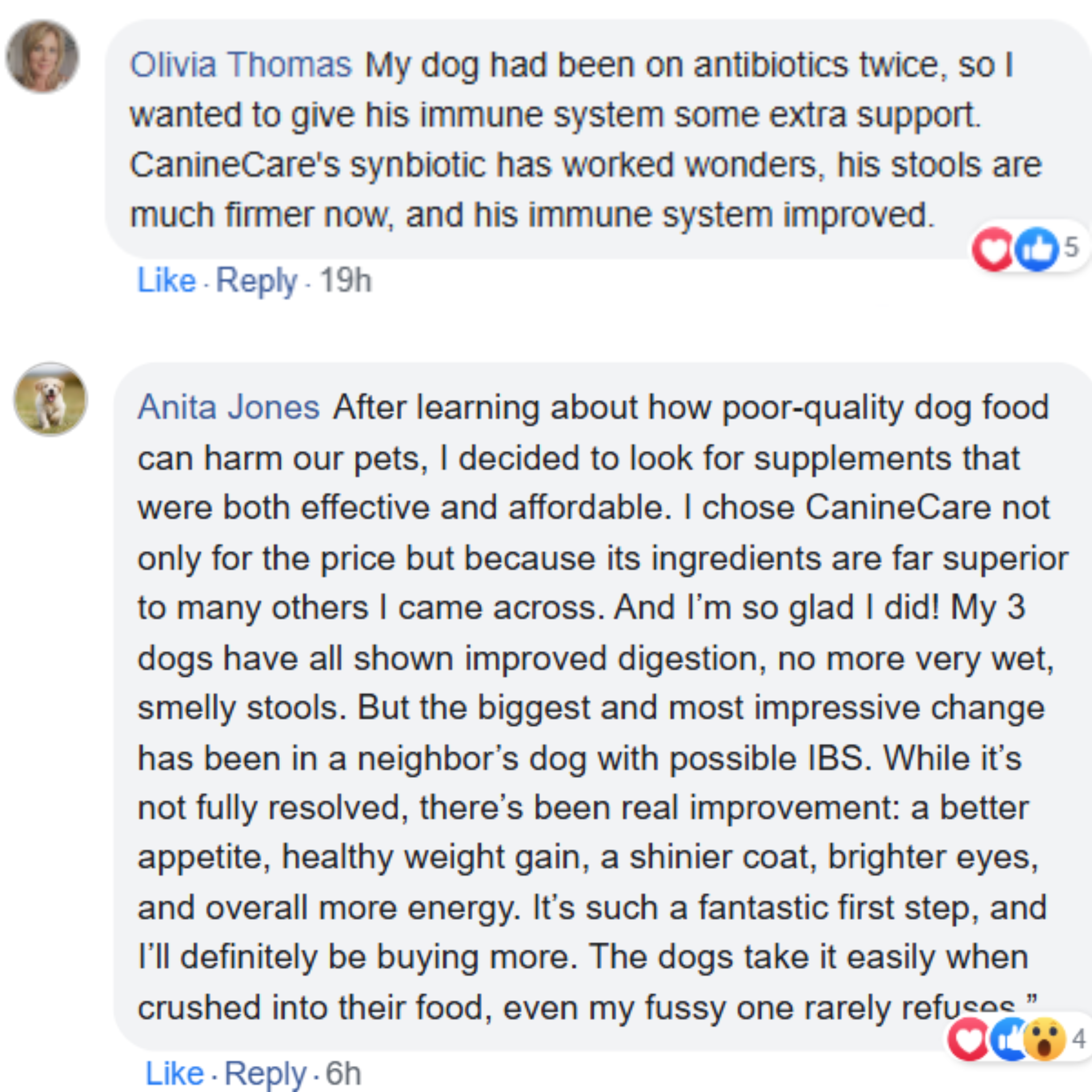 Dog Synbiotic - Finally End Antibiotic-induced Diarrhoea and Give Your Dog Comfort Again