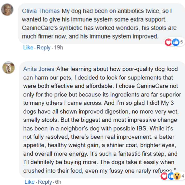 Dog Synbiotic™ - New Tailored Formula for Diarrhea