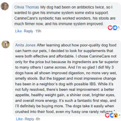 End Your Dog's Diarrhoea With CanineCare's Five Strain Probiotic