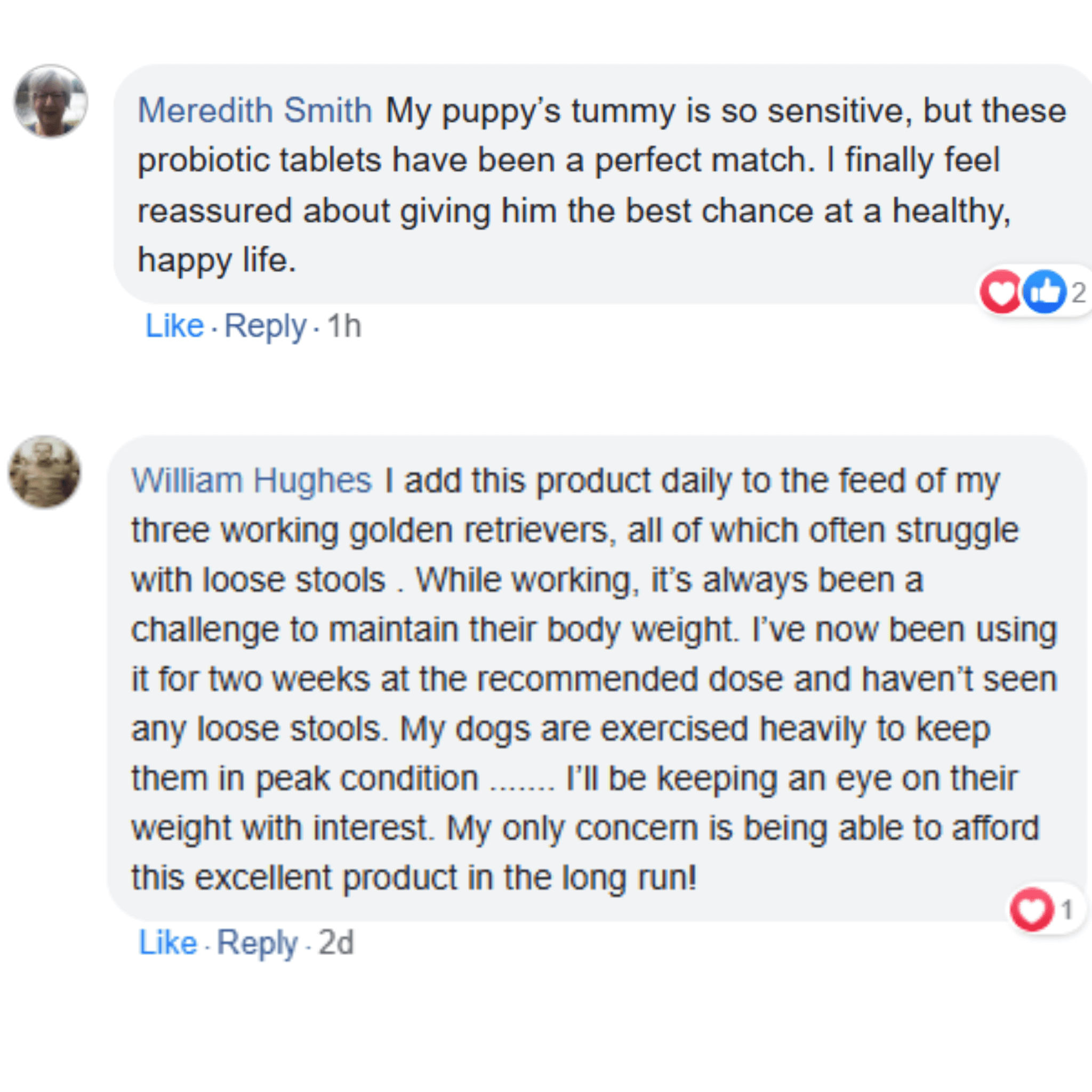 Dog Synbiotic™ - New Tailored Formula for Diarrhea