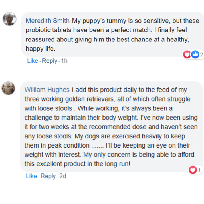 Dog Synbiotic™ - New Tailored Formula for Diarrhea