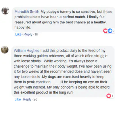 End Your Dog's Diarrhoea With CanineCare's Five Strain Probiotic