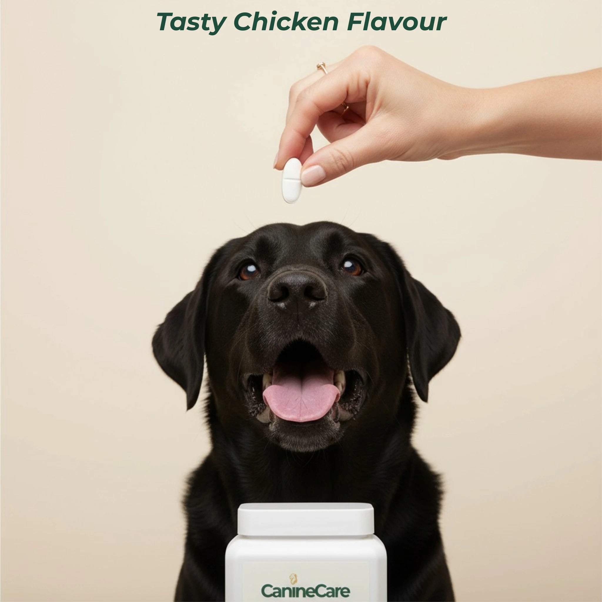 Dog Synbiotic™ - New Tailored Formula for Diarrhea