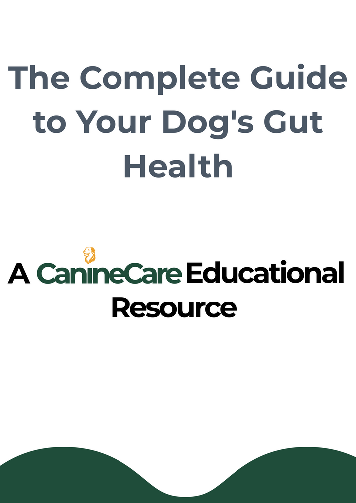 The Complete Guide to Your Dog's Gut Health