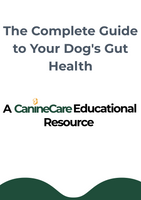 The Complete Guide to Your Dog's Gut Health
