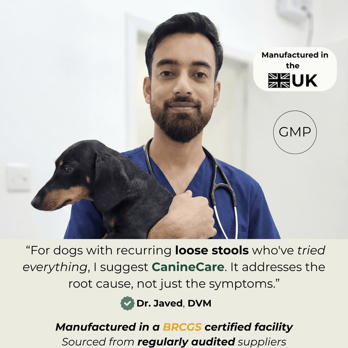 Stop Recurring Diarrhoea & Support Your Dog's Gut Health