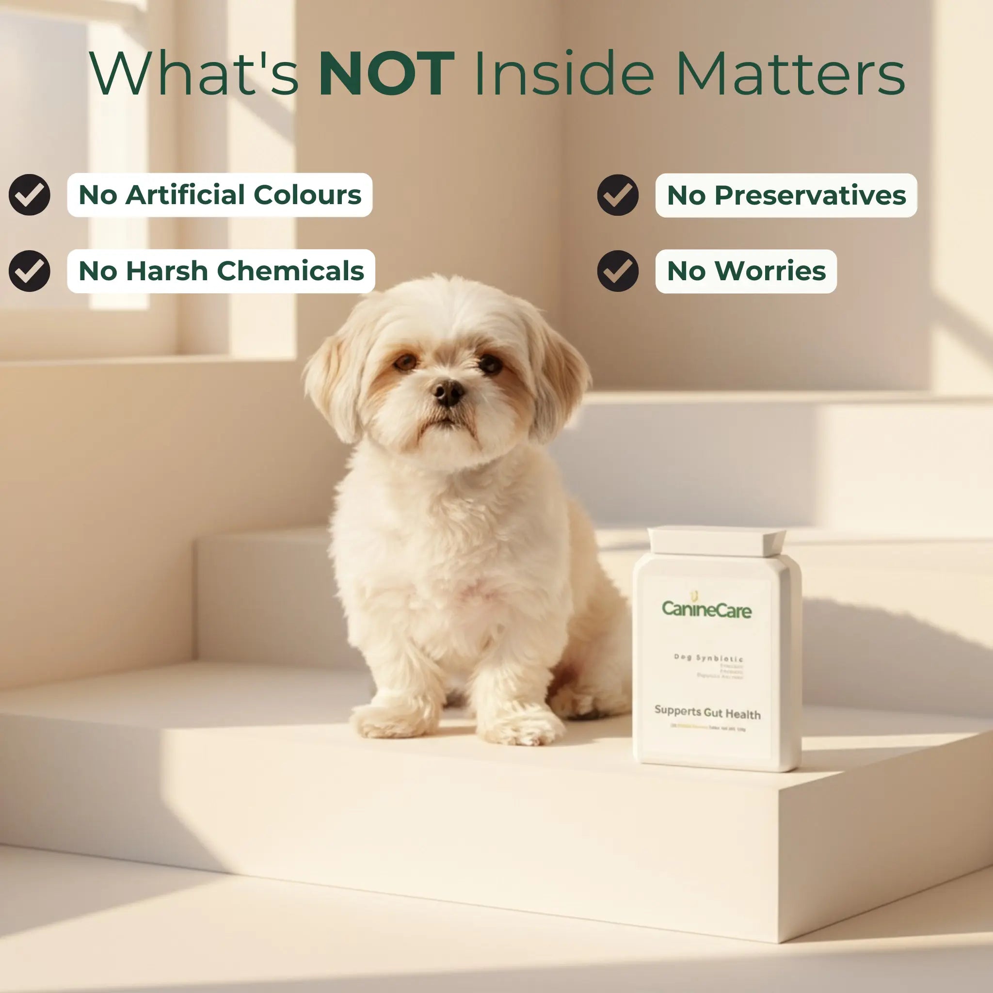 End Your Dog's Diarrhoea With CanineCare's Five Strain Probiotic