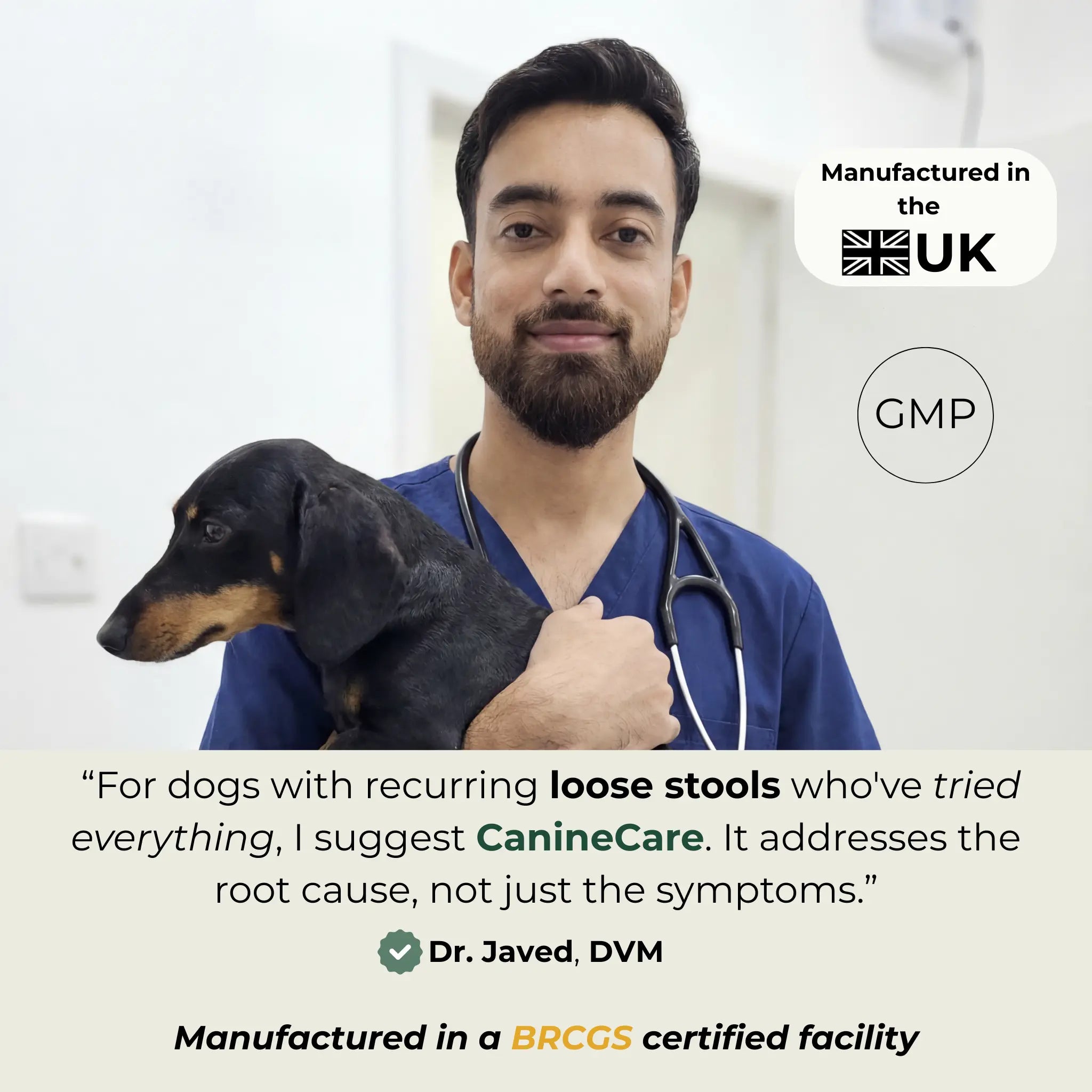 End Your Dog's Diarrhoea With CanineCare's Five Strain Probiotic