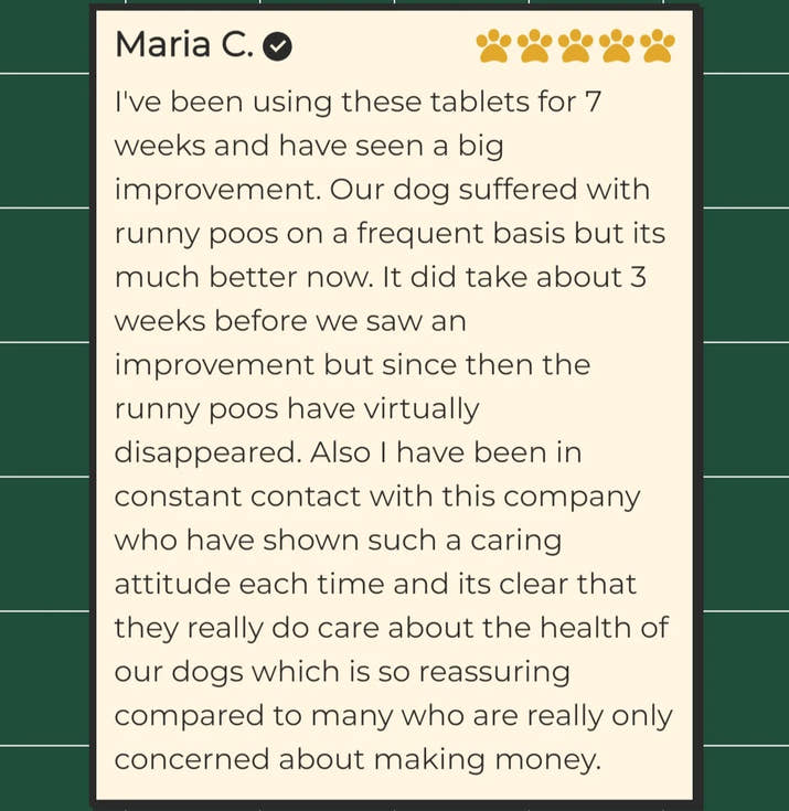 End Your Dog's Diarrhoea With CanineCare's Five Strain Probiotic