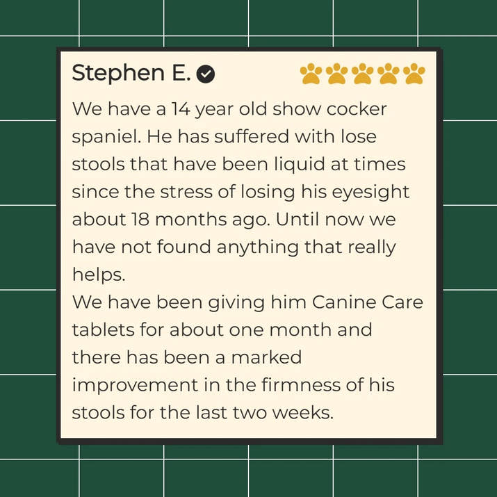 End Your Dog's Diarrhoea With CanineCare's Five Strain Probiotic