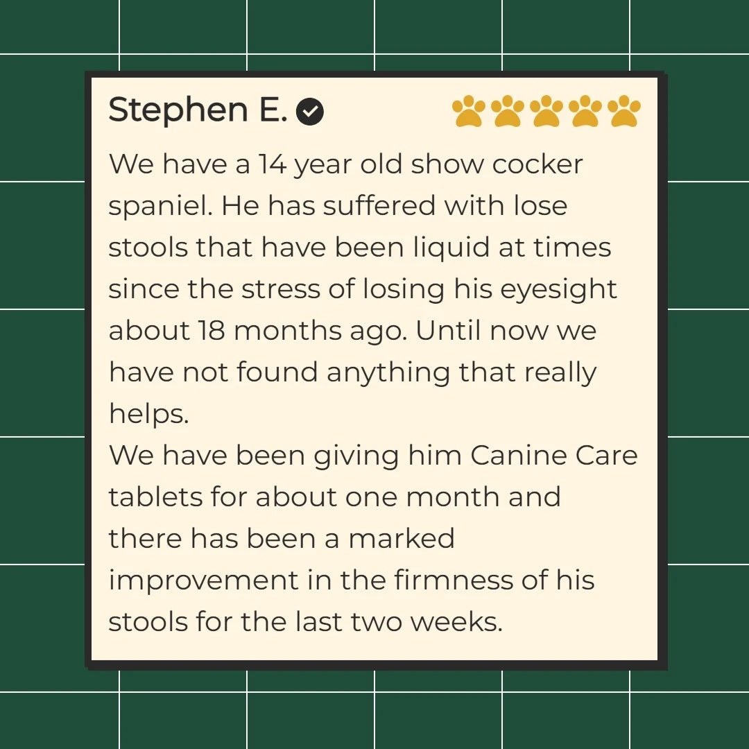 End Your Dog's Diarrhoea With CanineCare's Five Strain Probiotic