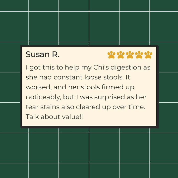 GutMax™- 5 Probiotic Strains | Prebiotic | 6 Digestive Enzymes