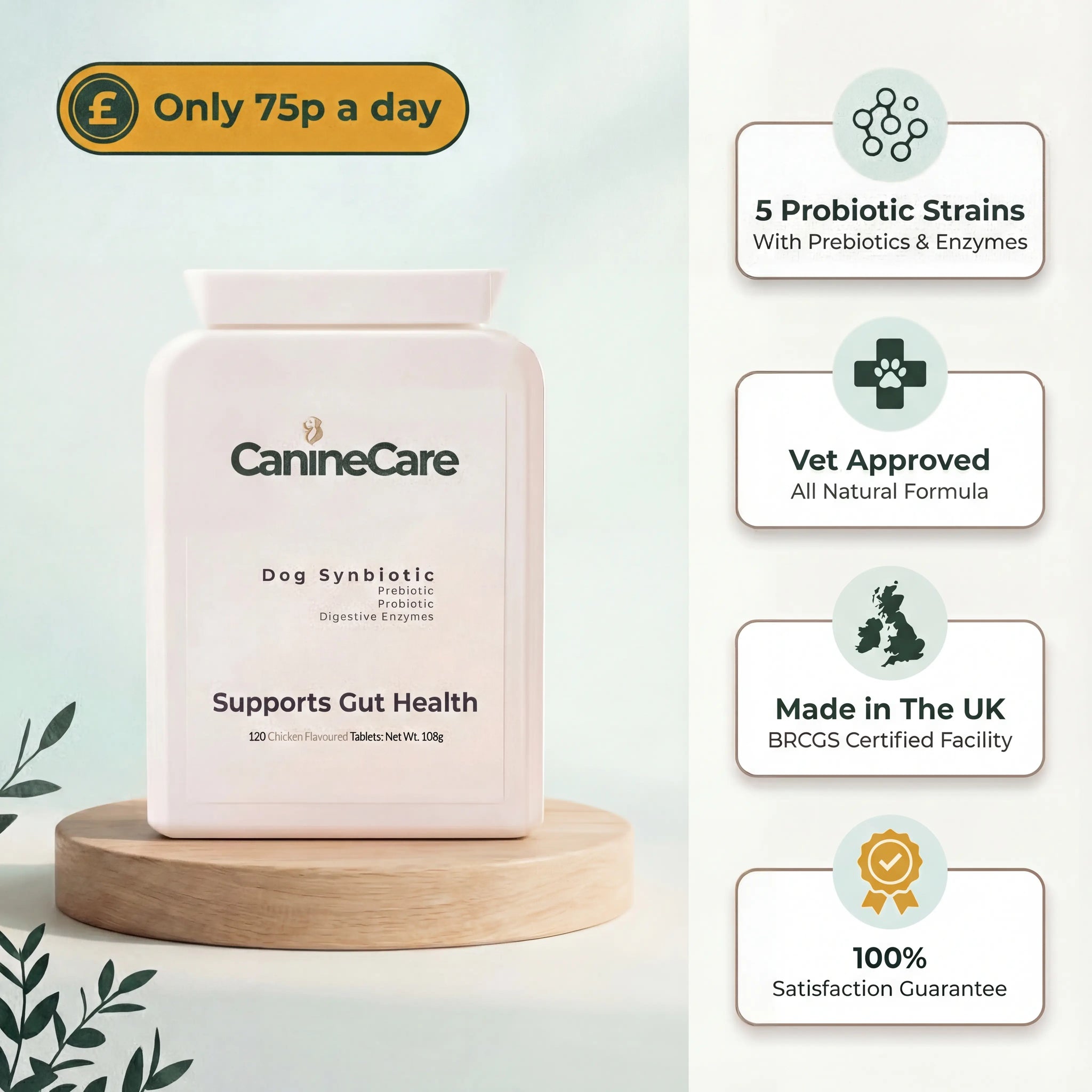 Stop Recurring Diarrhoea & Support Your Dog's Gut Health