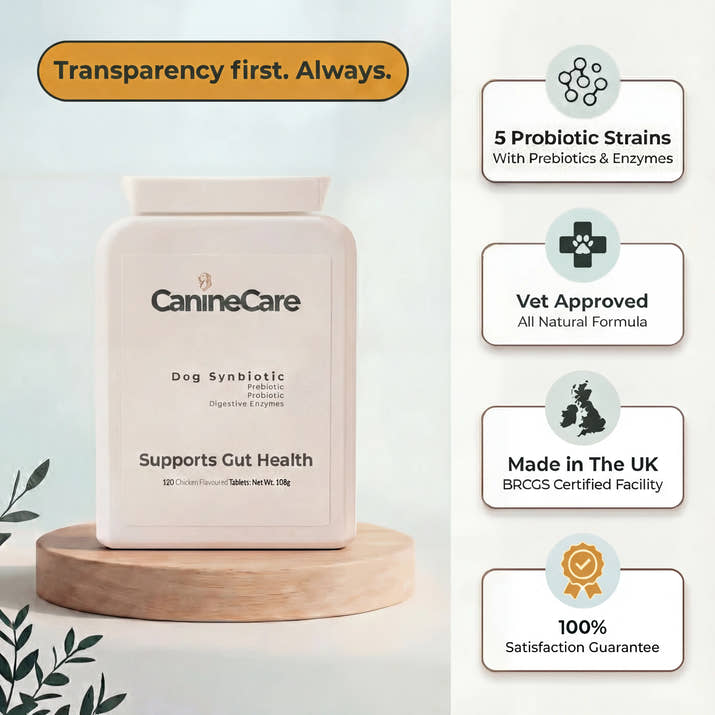 GutMax™- 5 Probiotic Strains | Prebiotic | 6 Digestive Enzymes
