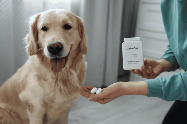 Dog Synbiotic - New Tailored Formula for Diarrhea